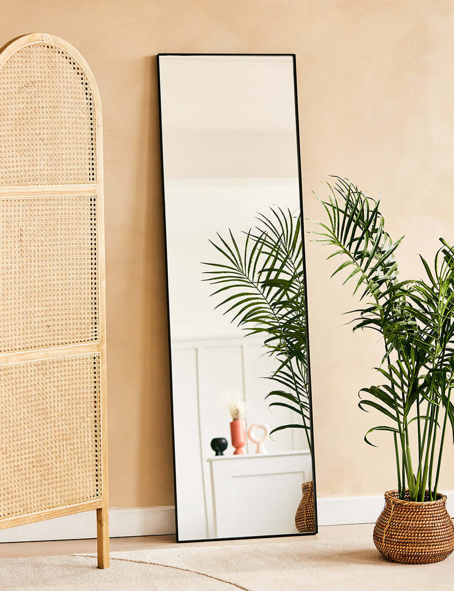 Rectangular Floor Mirror
